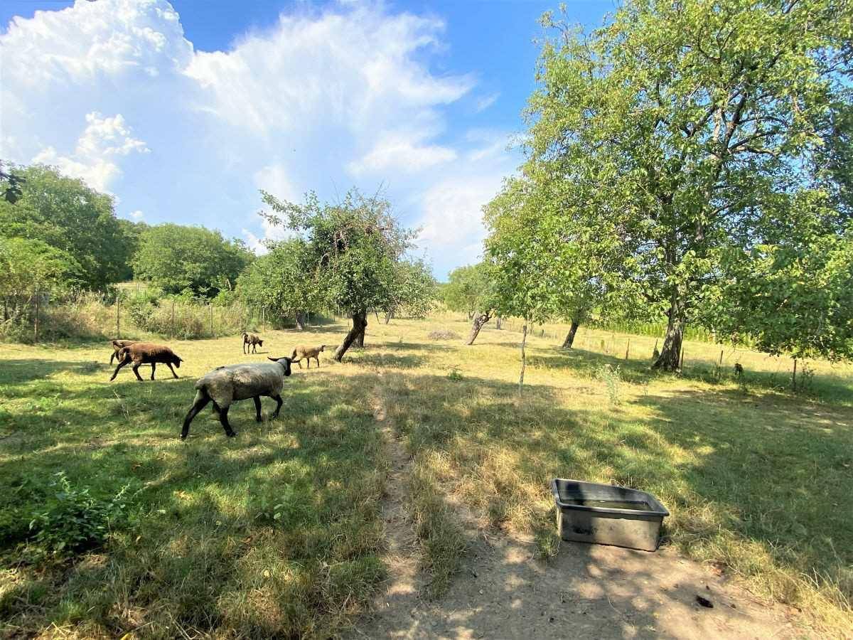 [06788] Wunderschönes Baugrundstück in der Nähe des Golfplatzes! - Ansicht 4