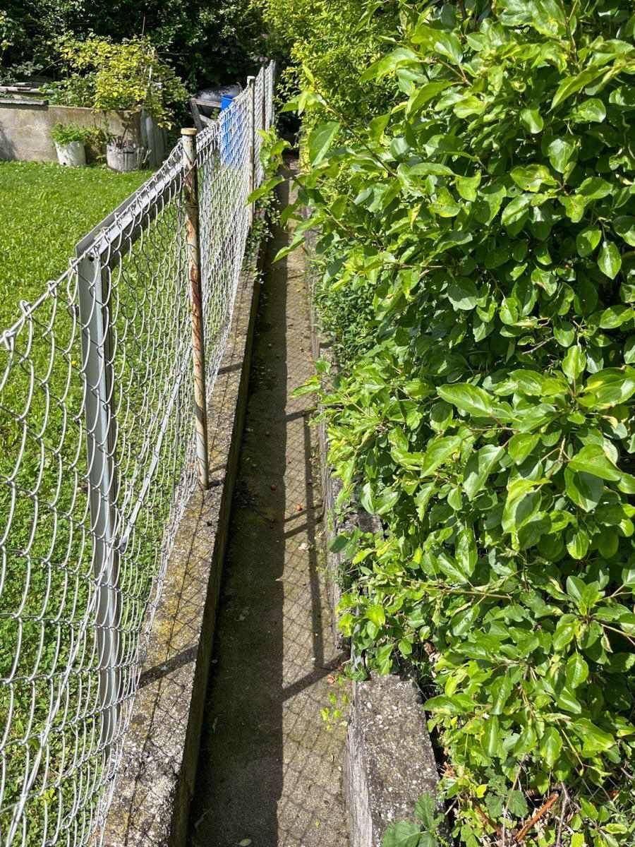Gartenzaun mit dichtem Grün und Bewuchs entlang der Grundstücksgrenze.