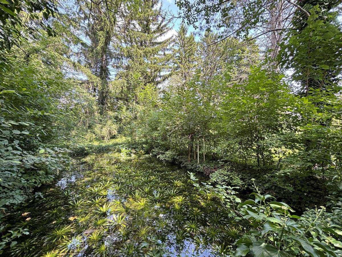 [06652] Projektchance in Theresienfeld: Baugrund mit Naturcharme - Ansicht 3