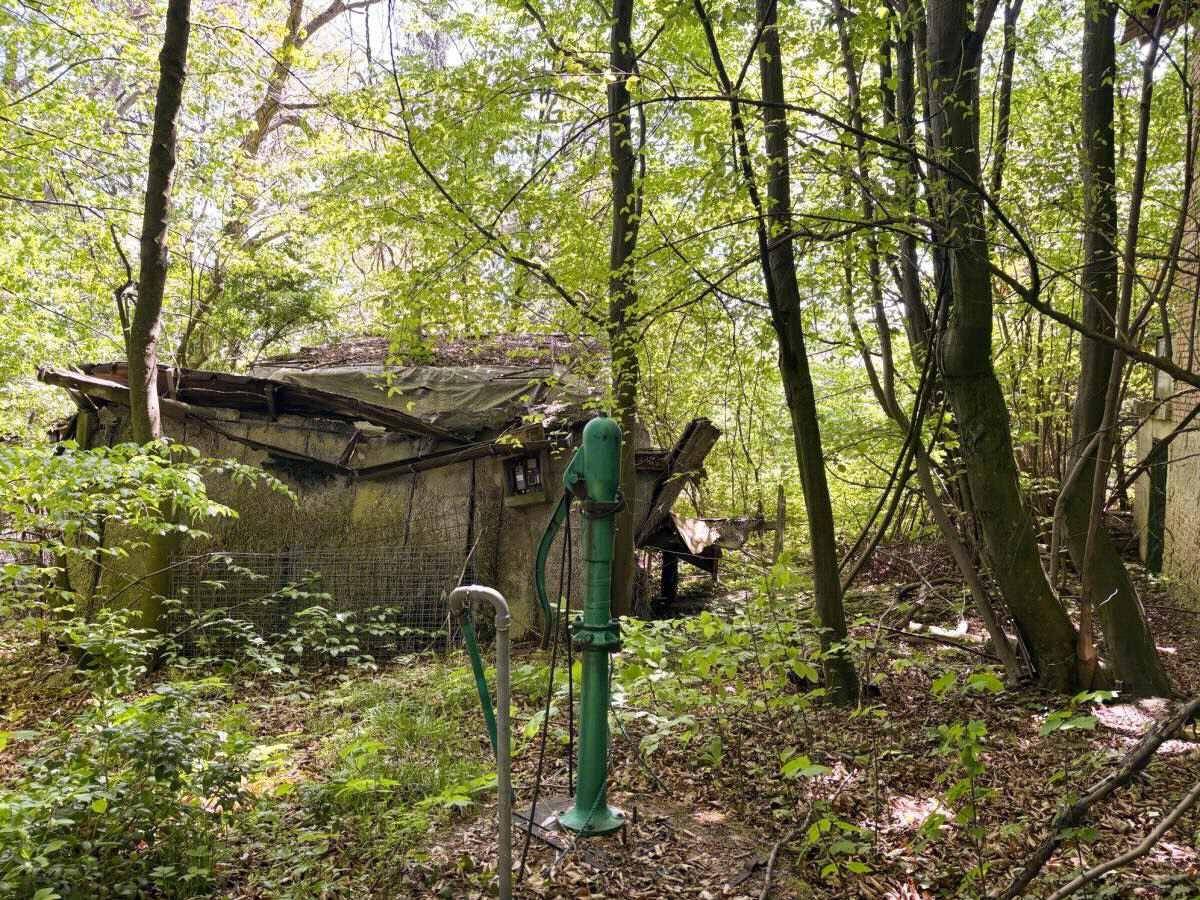 Verfallener Schuppen in einem dichten Waldgebiet mit einer alten grünen Wasserpumpe im Vordergrund.