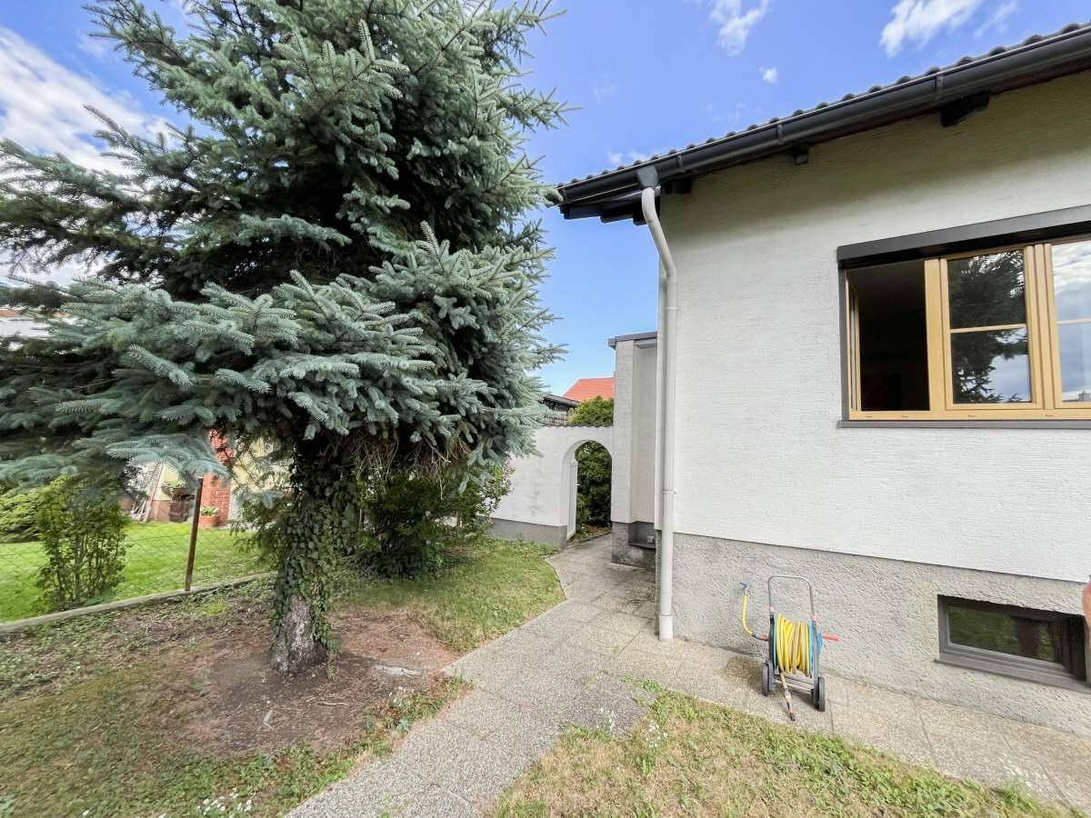 Gartenweg entlang der Hausseite mit hohen Bäumen und einem Durchgang zum hinteren Bereich.