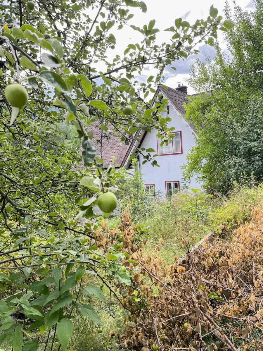 Obstbäume im Garten mit dem historischen Haus im Hintergrund.