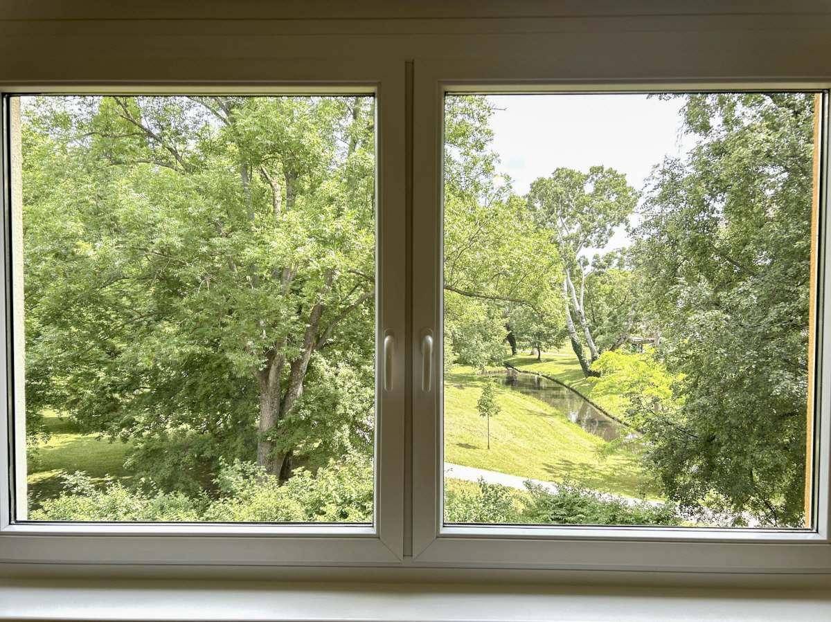 Blick aus dem Fenster auf eine grüne Parklandschaft mit Bäumen und einem kleinen Bachlauf.