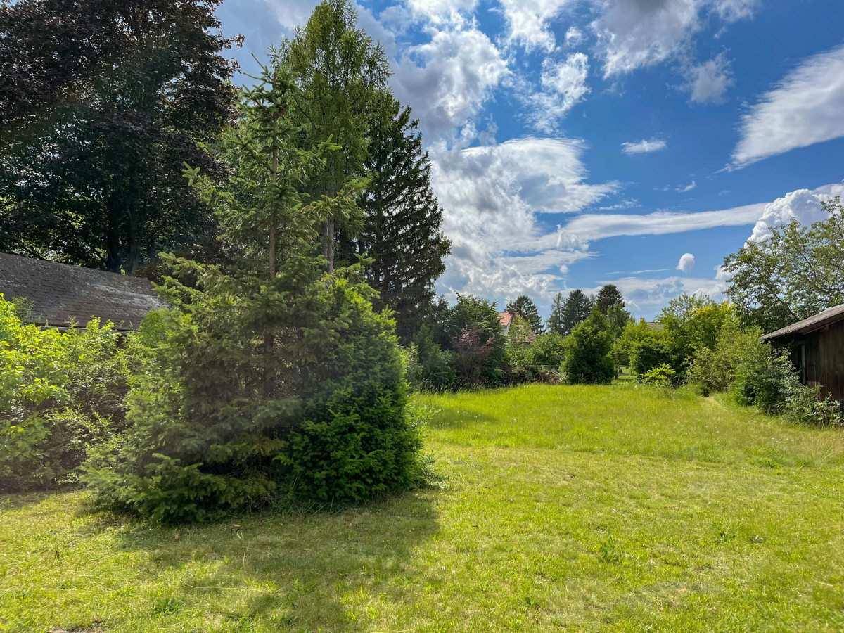 Großer, grüner Garten mit altem Baumbestand und viel ungenutzter Rasenfläche.