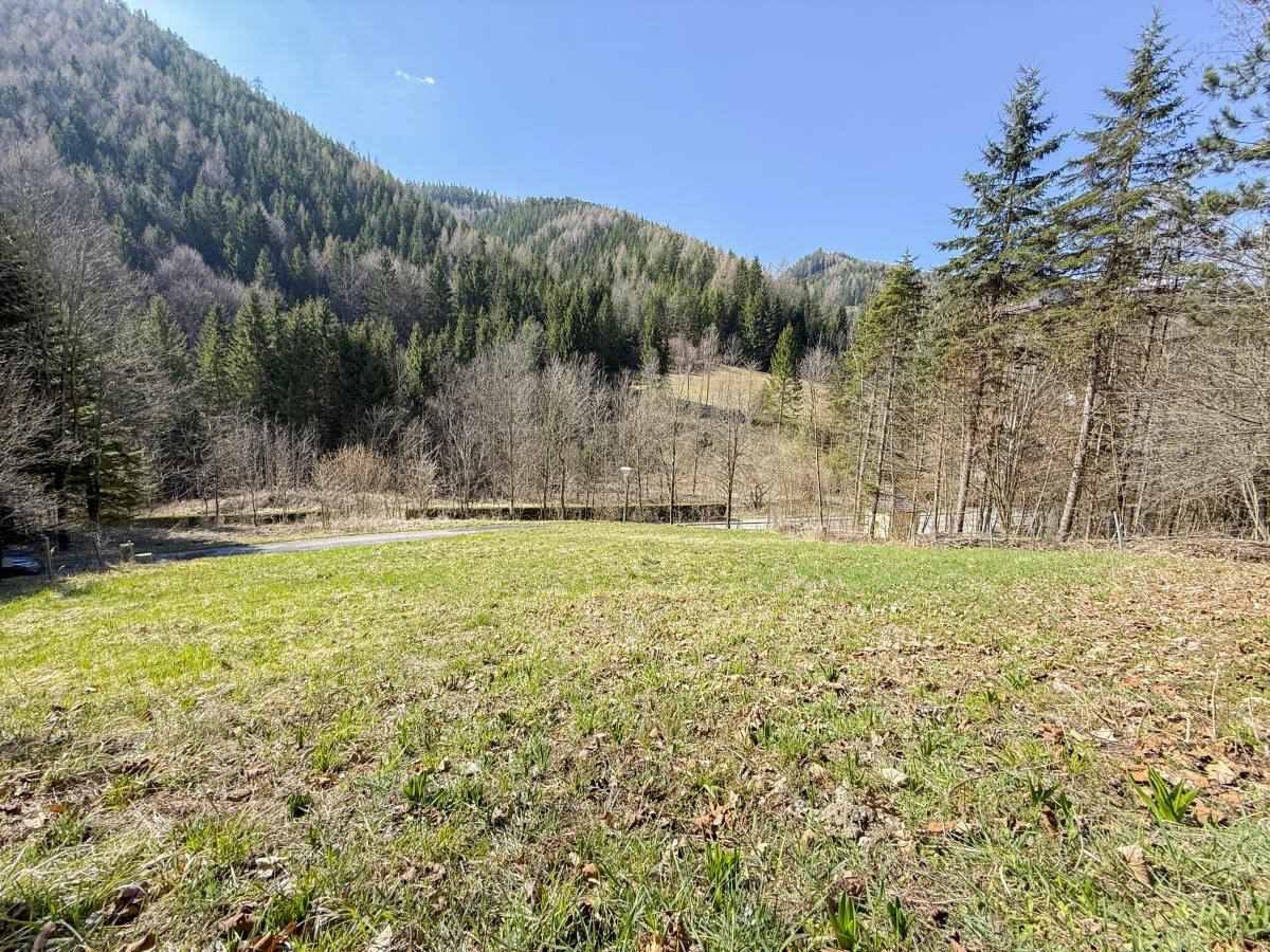 [06724] RESERVIERT - Unser Grundstück im Erholungsgebiet Semmering - Ansicht 2