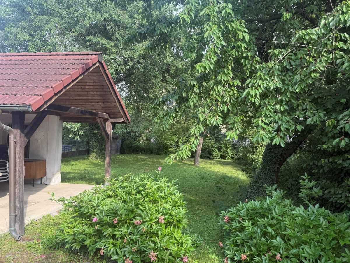 Grüner Gartenbereich mit blühenden Sträuchern und einer überdachten Terrasse im Hintergrund.