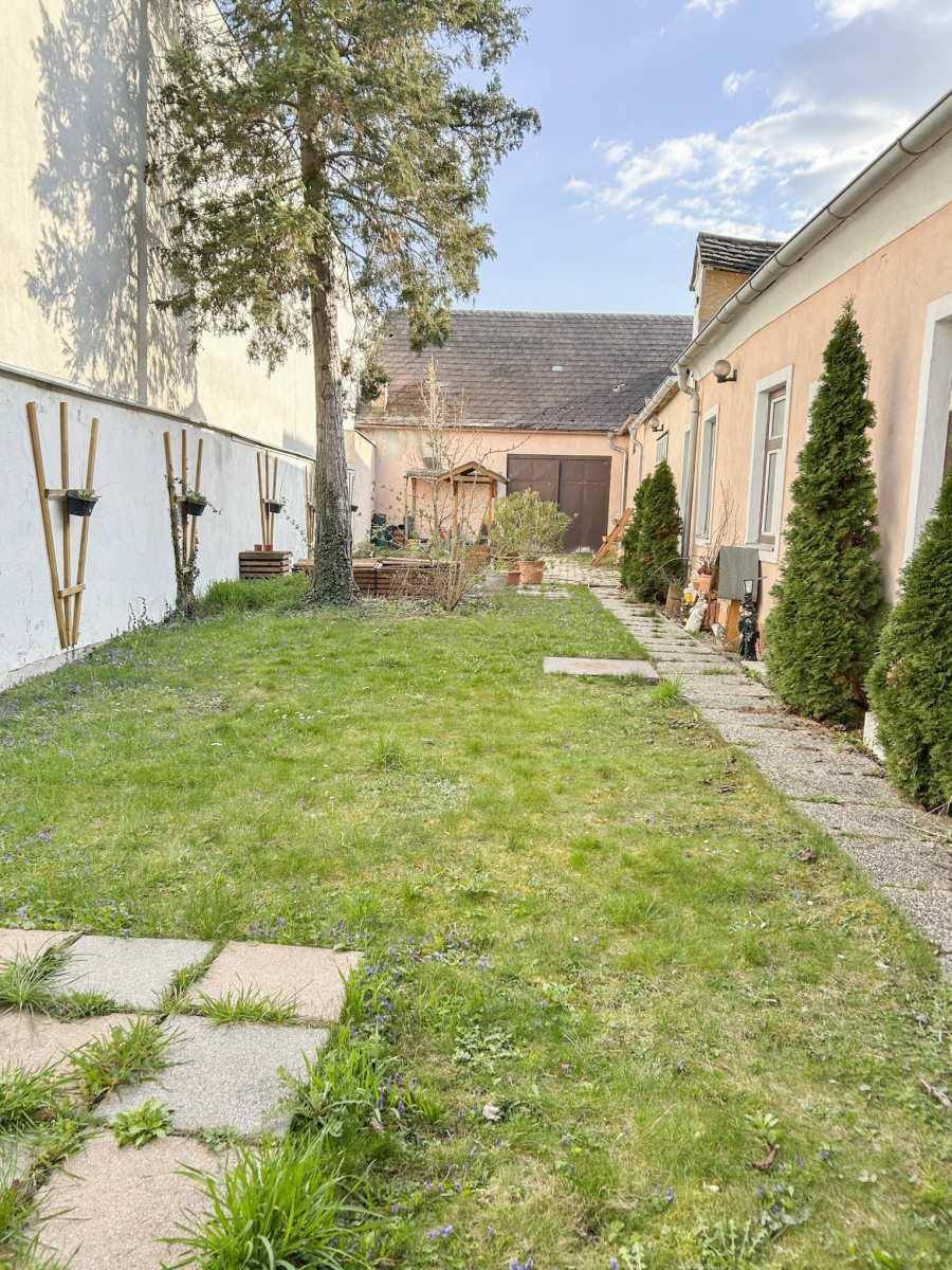 Grüner Gartenbereich mit Rasenfläche, Steinplattenweg und hohen Nadelbäumen.