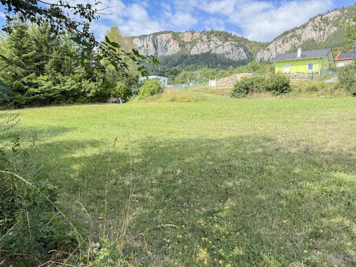 Grüne Wiese mit Blick auf eine beeindruckende Bergkette und die umliegende ländliche Bebauung.