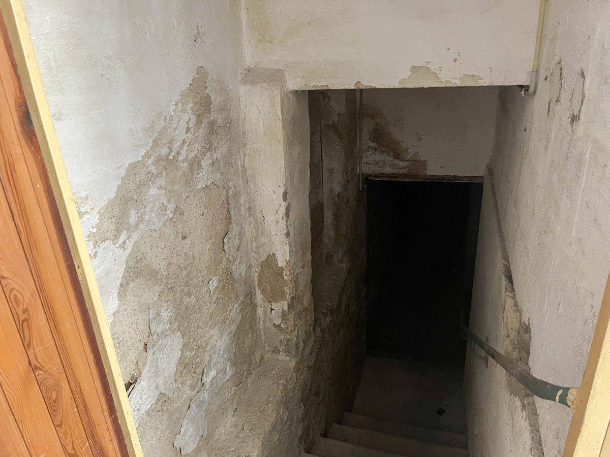 Dunkler Treppenabgang zum Keller mit abblätterndem Putz und Sanierungsbedarf.