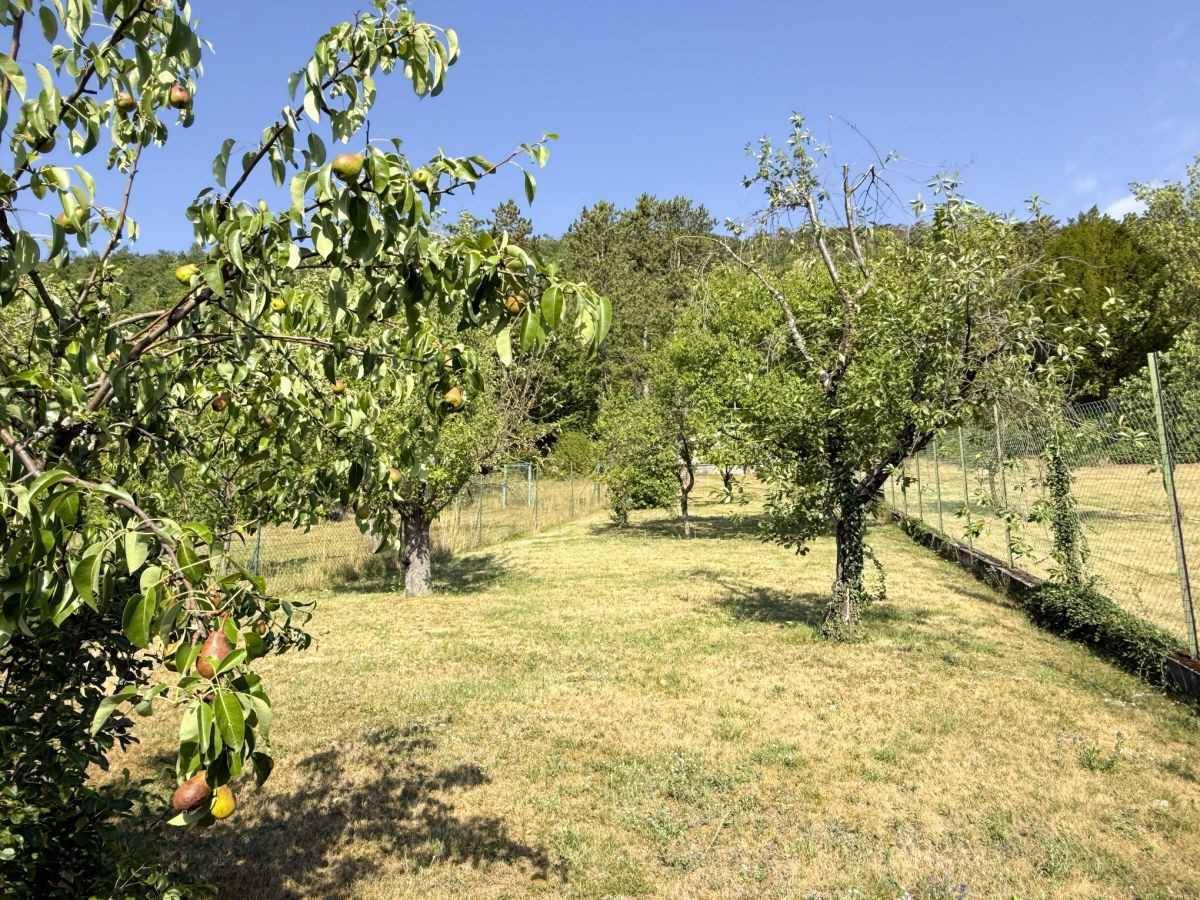 Natürlicher Garten mit Obstbäumen und Wiese, umgeben von grünen Hügeln.