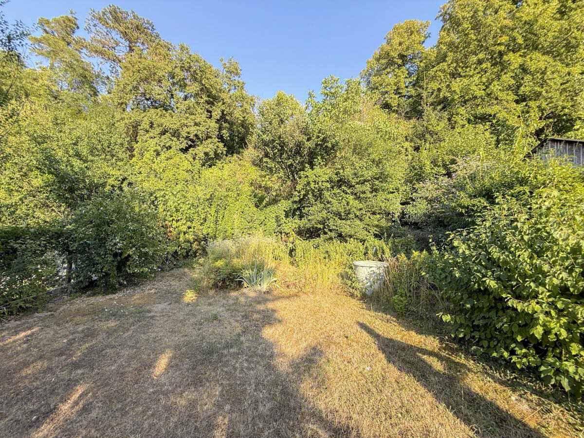 Großer Gartenbereich mit trockenem Rasen und üppiger Vegetation im Hintergrund.