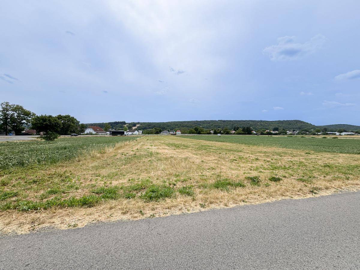 Weitblick über ein Feld auf eine ländliche Siedlung mit Häusern und bewaldeten Hügeln unter bewölktem Himmel.