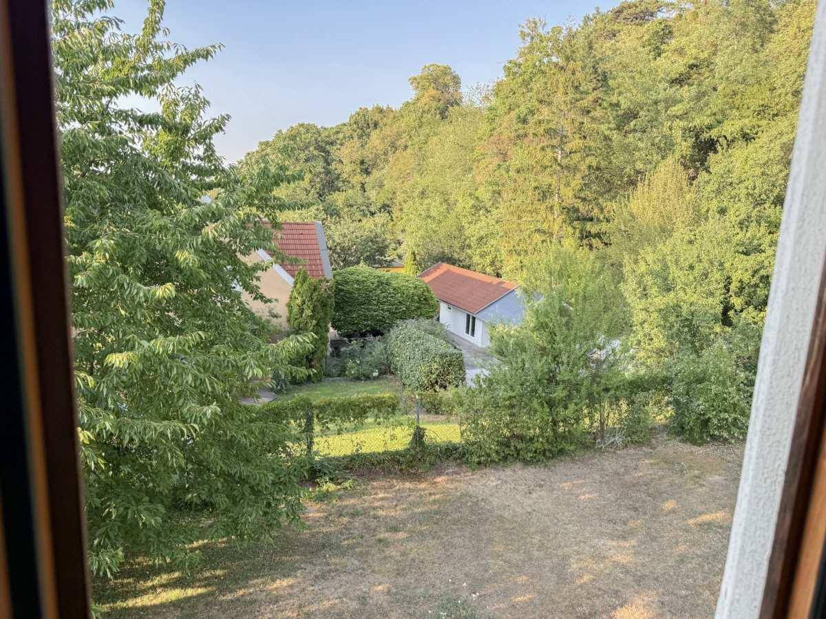 Blick aus dem Fenster auf einen grünen Garten und ein benachbartes Haus.