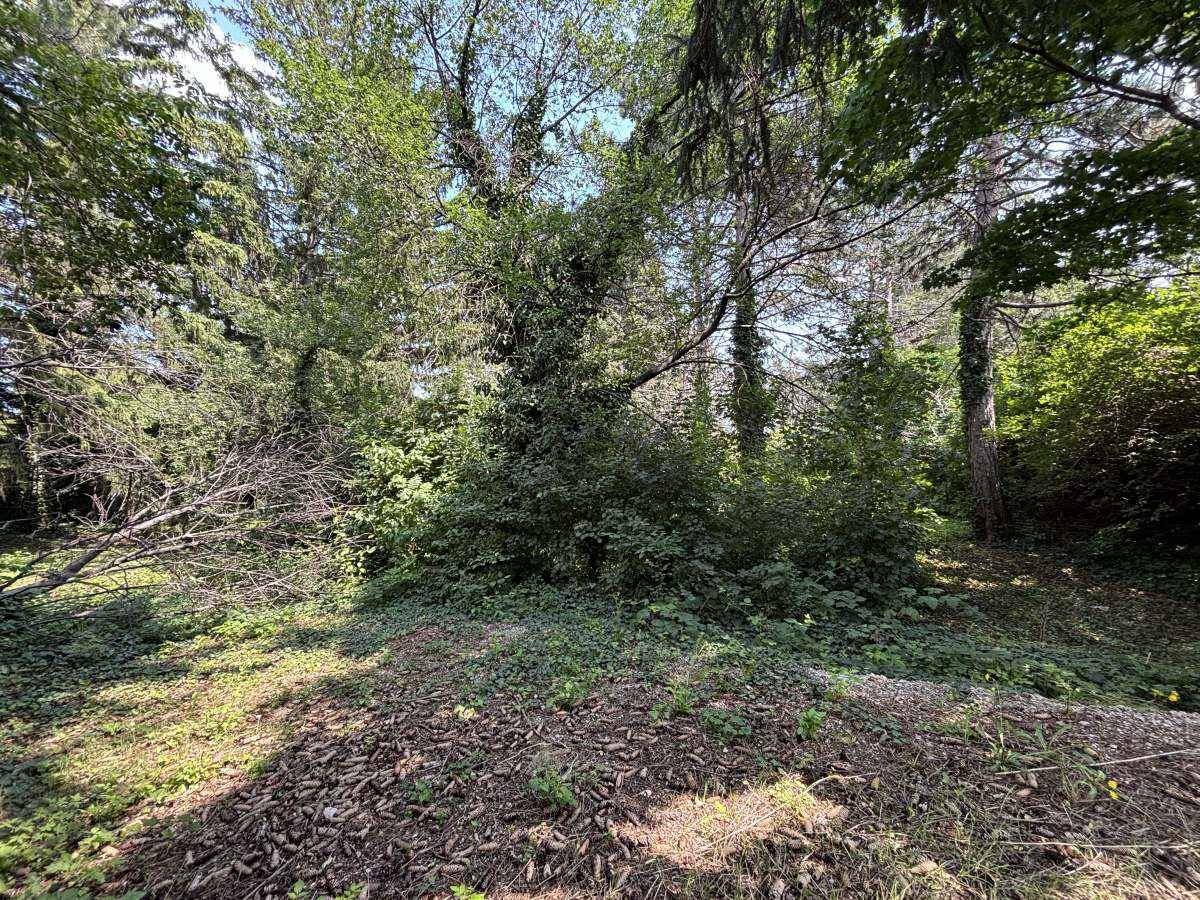 [06652] Projektchance in Theresienfeld: Baugrund mit Naturcharme - Ansicht 5