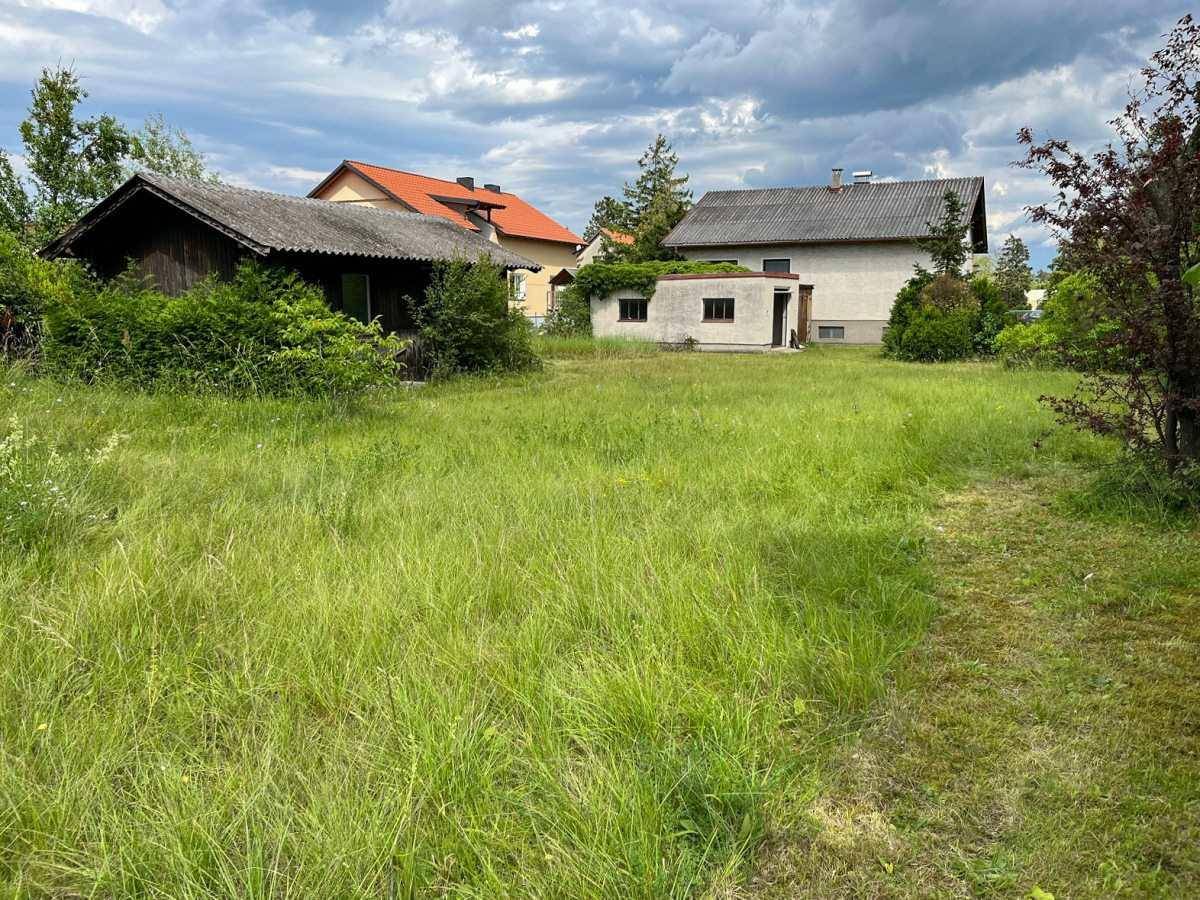 Verwilderte Gartenfläche mit hohem Gras und Blick auf umliegende Gebäude.