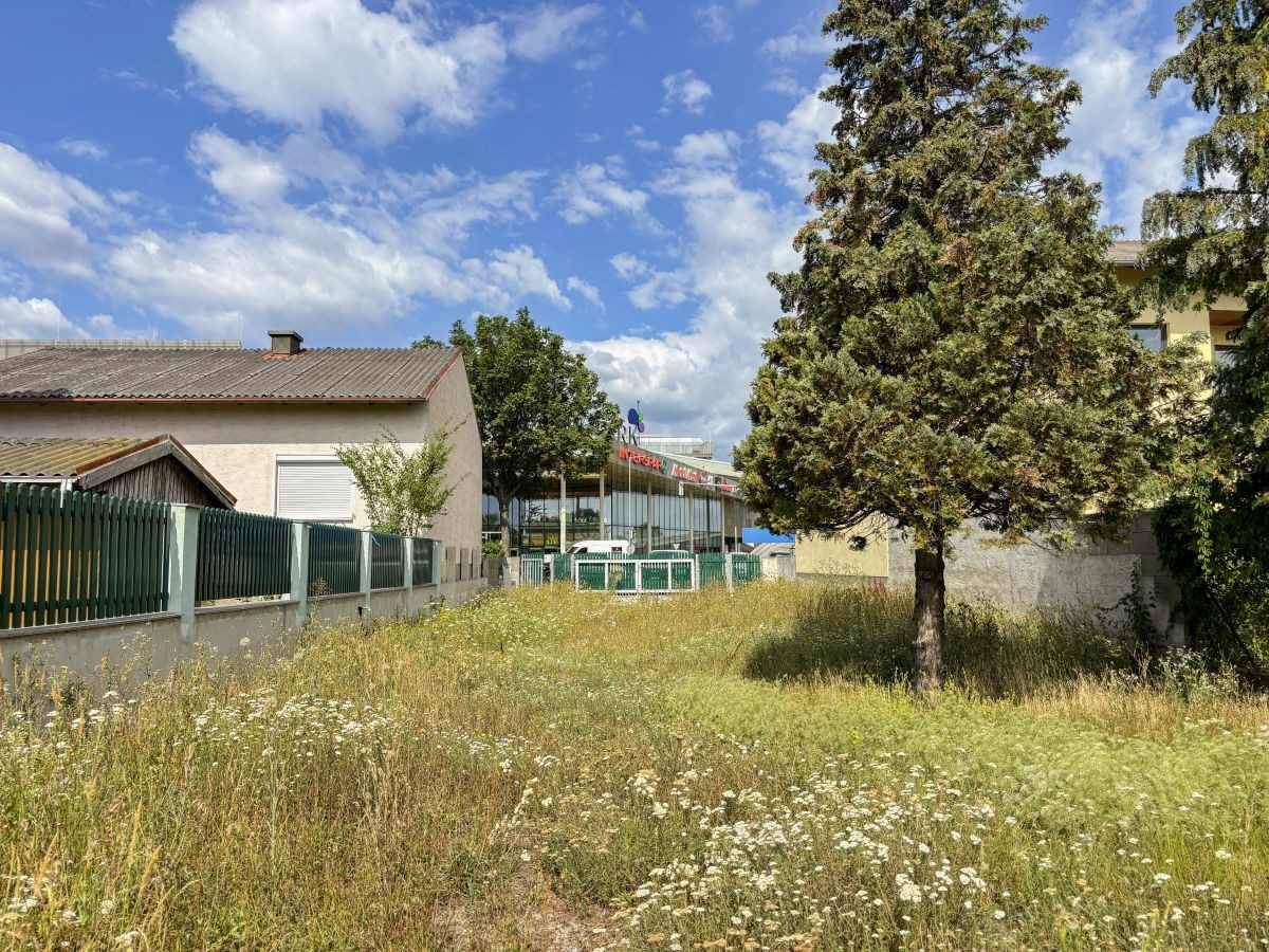 Blick über das verwilderte Grundstück mit Bäumen, einem Haus und einem Einkaufszentrum im Hintergrund.