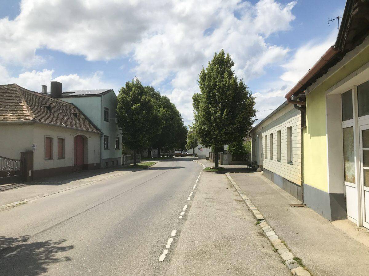 Ruhige Dorfstraße mit traditionellen Häusern und Bäumen unter einem bewölkten Himmel.