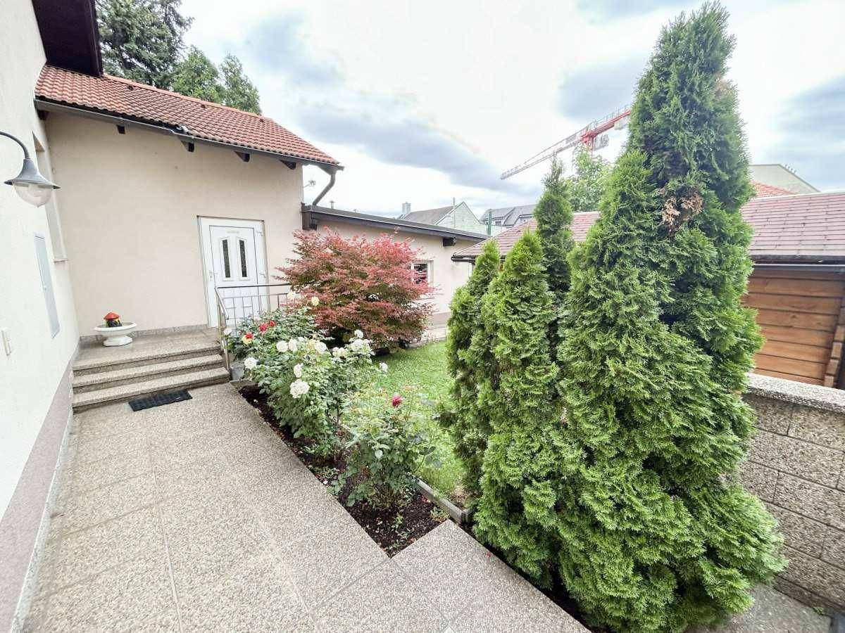 Gepflegter Gartenbereich mit Treppen, Rosenbeeten und Blick auf das Haus.