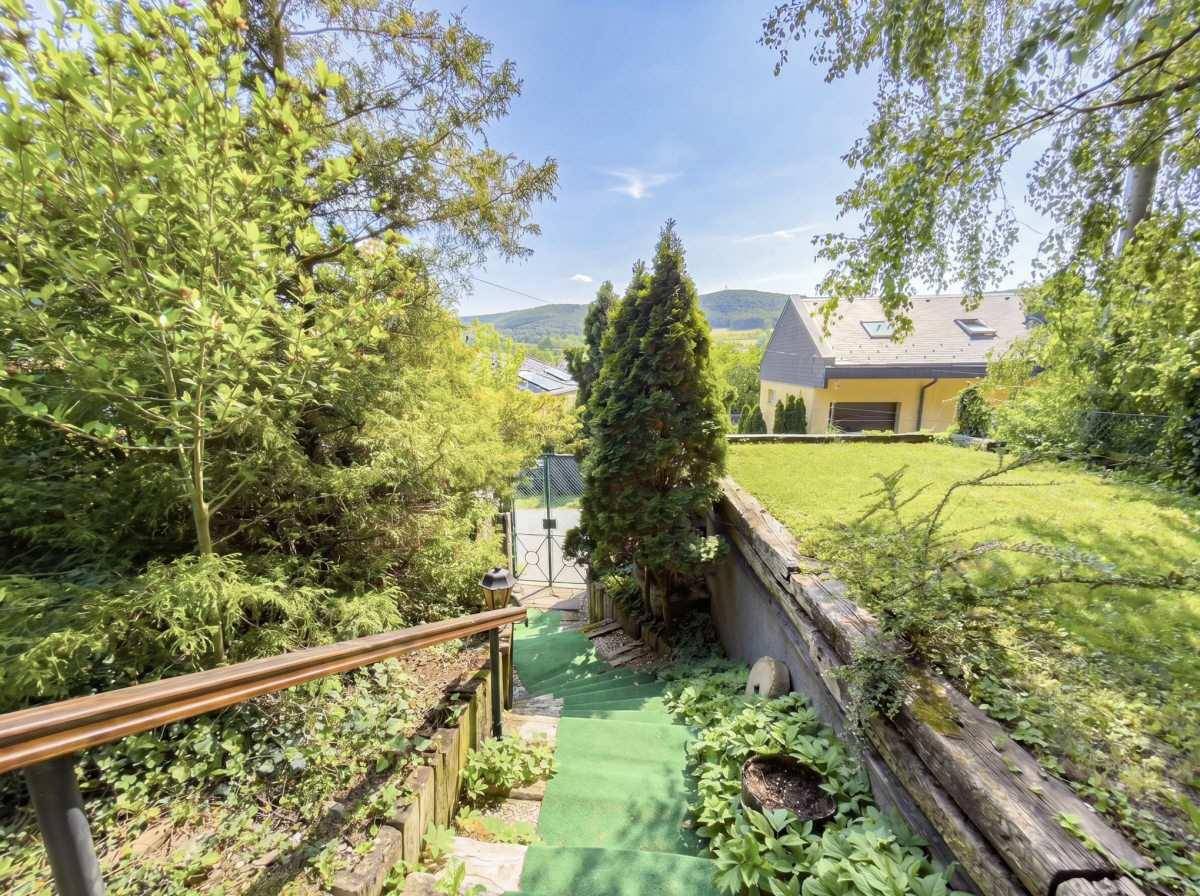 Treppenweg durch den grünen Garten mit üppiger Vegetation und Blick auf das Haus.