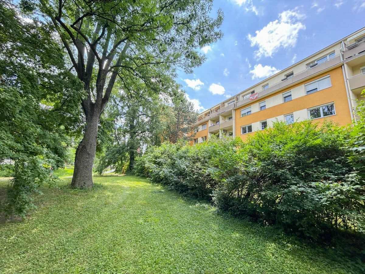 Grüne Gartenfläche mit altem Baumbestand und Büschen vor der Wohnhausfassade.