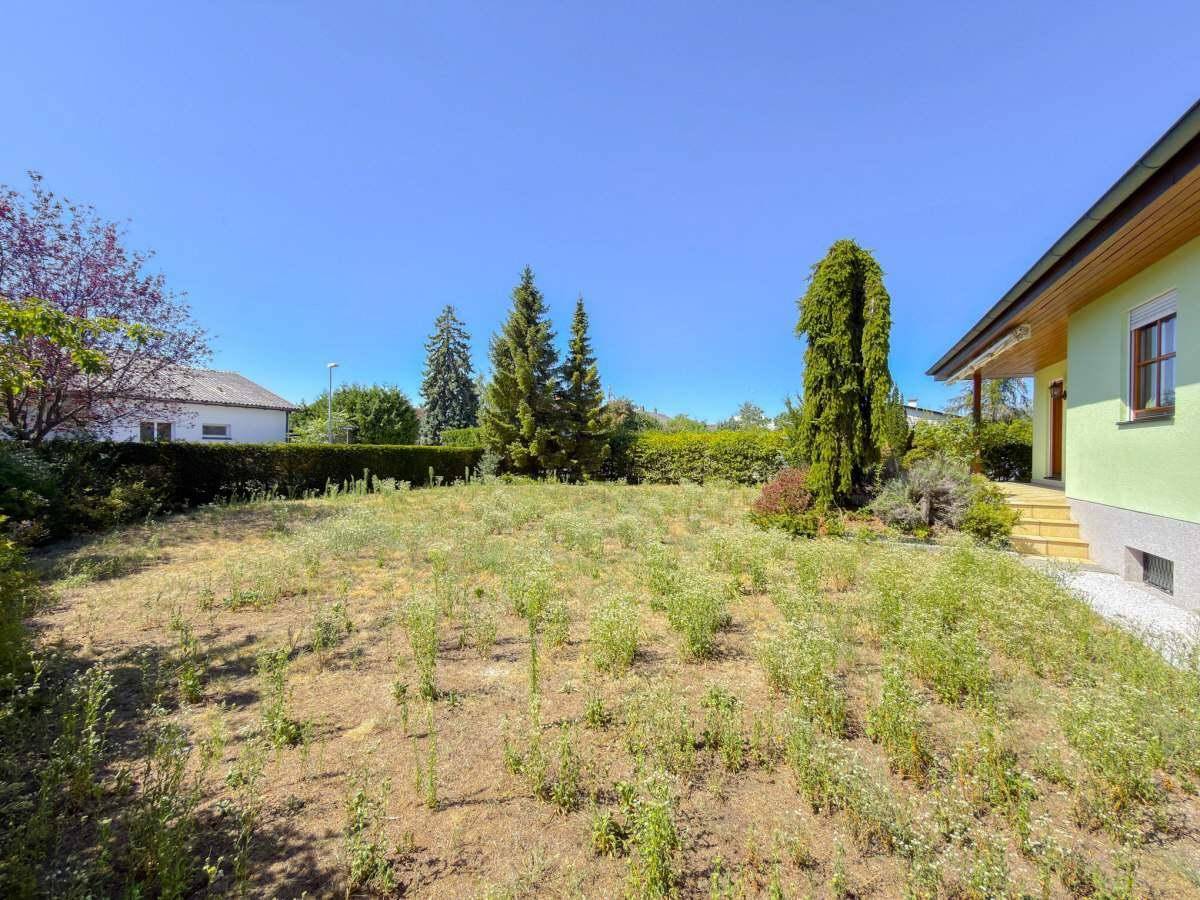 Weitläufiger Gartenbereich mit Rasen, Bäumen und Hecke.
