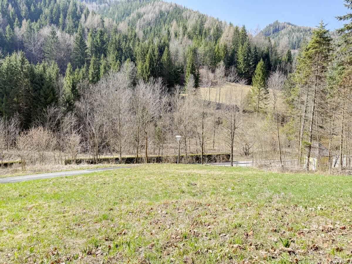 [06724] RESERVIERT - Unser Grundstück im Erholungsgebiet Semmering - Ansicht 3