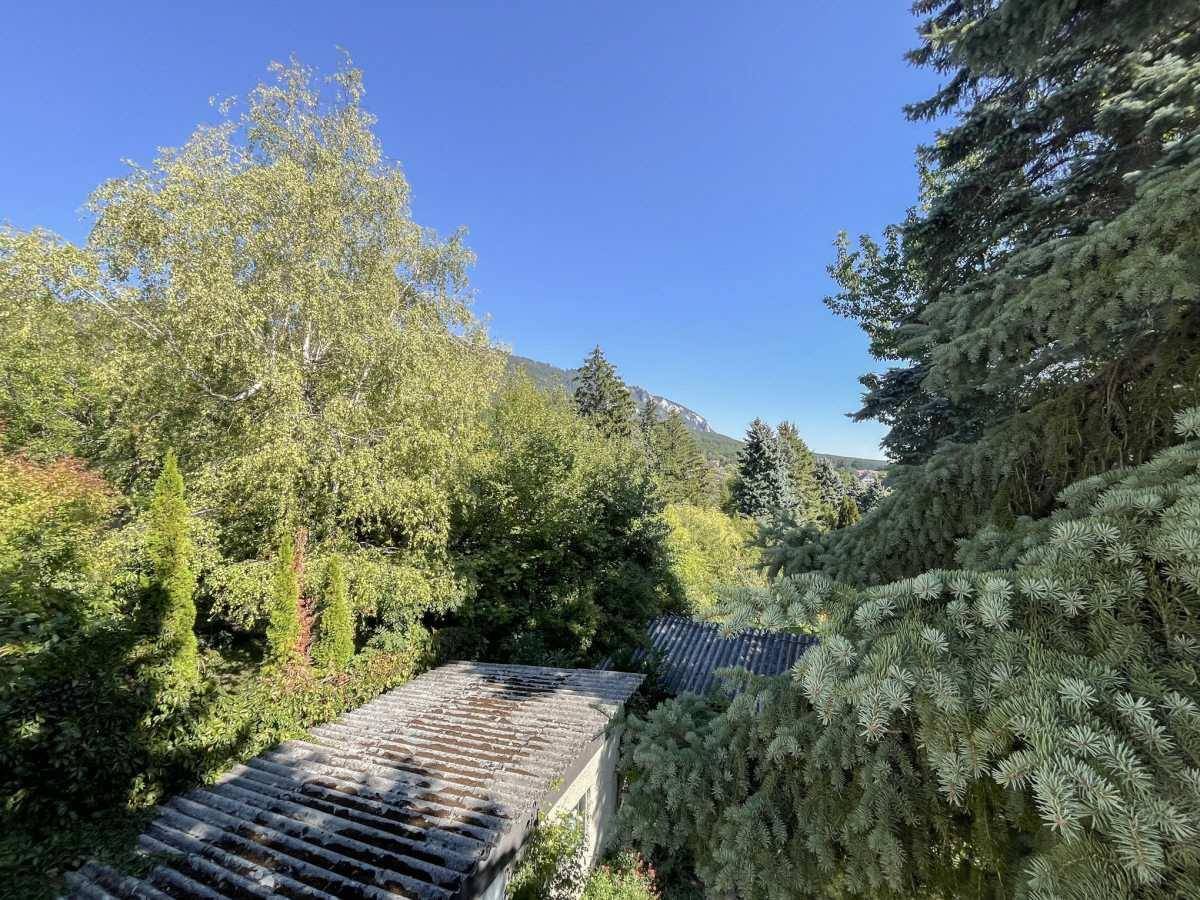 Weitläufiger Blick über Dächer und üppige grüne Bäume unter blauem Himmel.