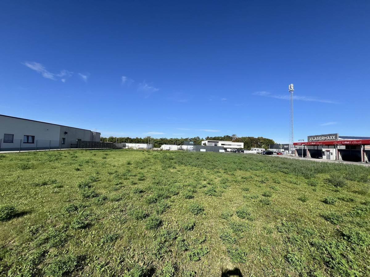 Weitläufiges grünes Feld mit angrenzenden Gewerbegebäuden und einer Autowaschanlage im Sonnenlicht.