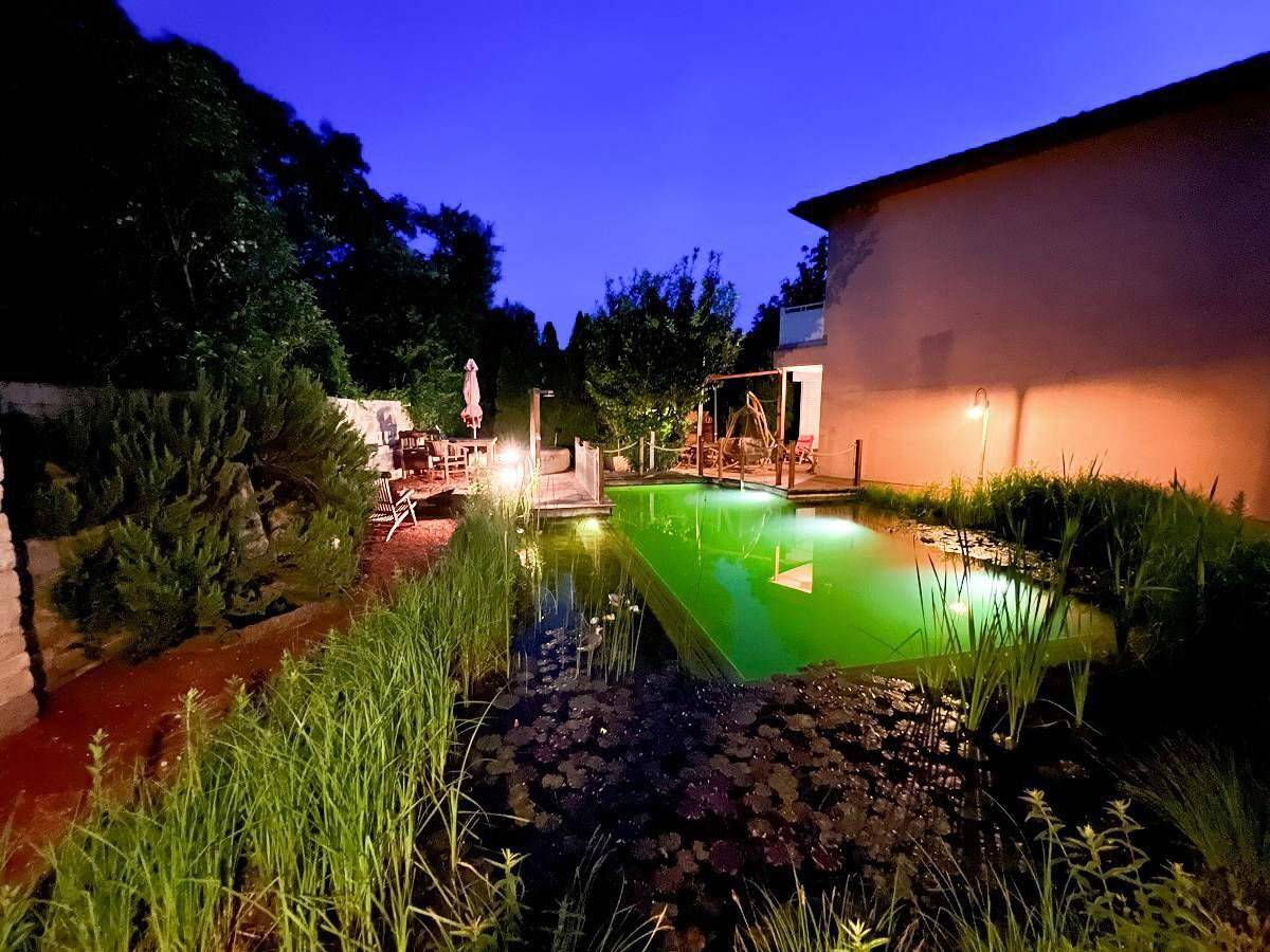 Teich-Nacht-2