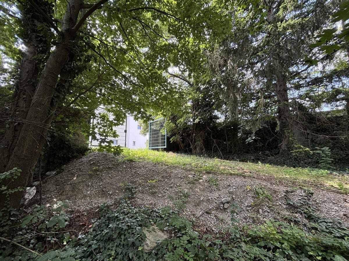 Kleiner Erdhügel mit spärlicher Vegetation, umgeben von Bäumen, mit Gebäude und Tor im Hintergrund.
