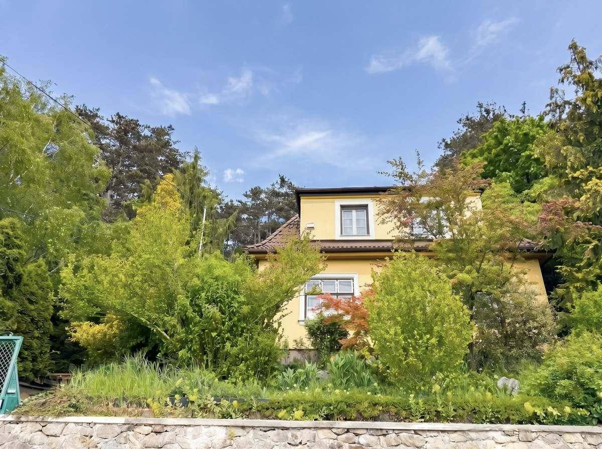 Ansicht des Hauses, umgeben von hohen Bäumen und grüner Vegetation, unter blauem Himmel.
