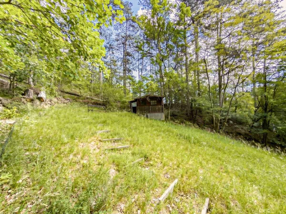 Naturbelassener Hanggarten mit Holzhütte, Sitzbank und Stufen, umgeben von Bäumen.