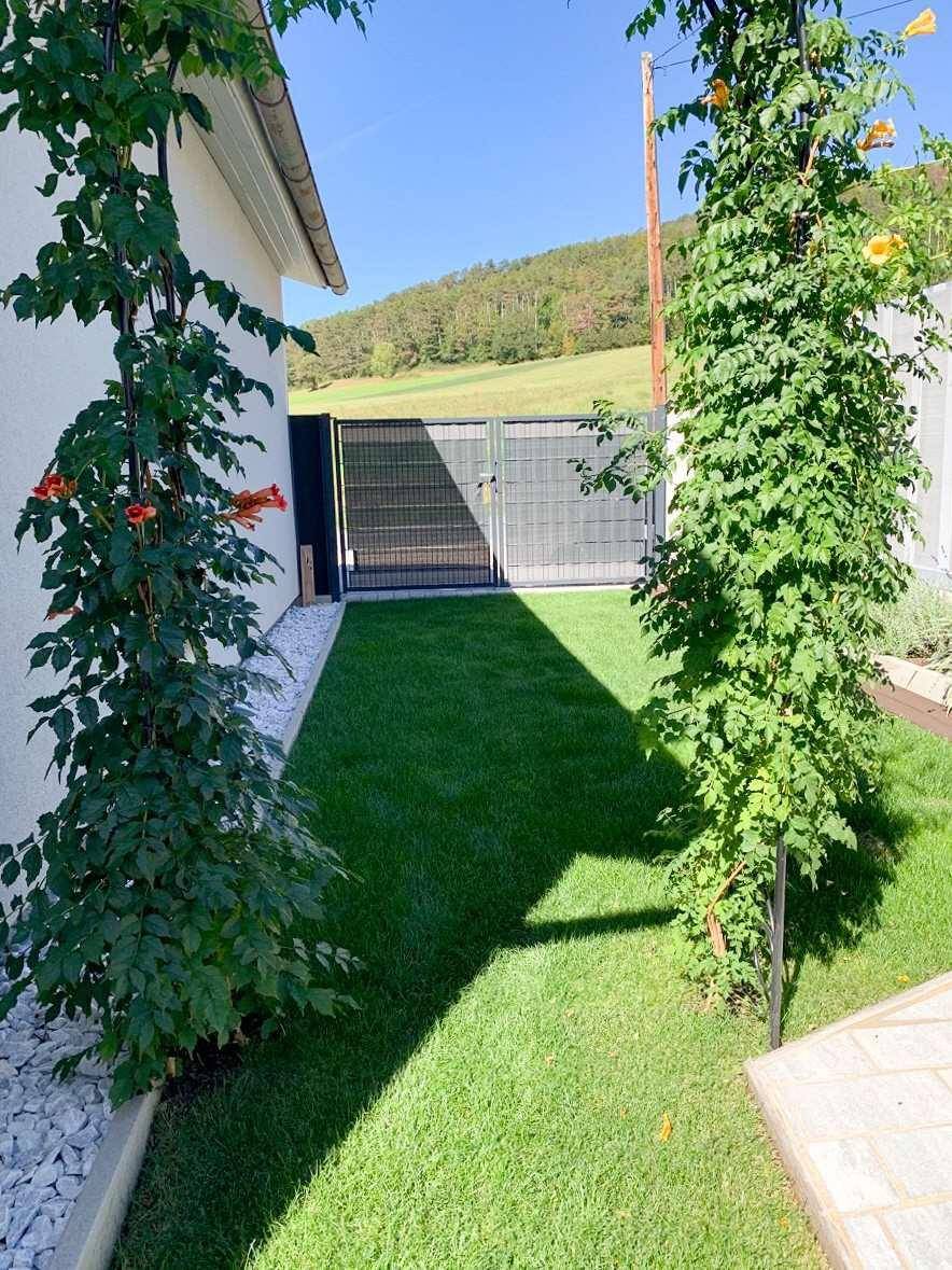 Schmaler Gartenstreifen mit Kletterpflanzen und Rasenfläche neben dem Haus unter blauem Himmel.