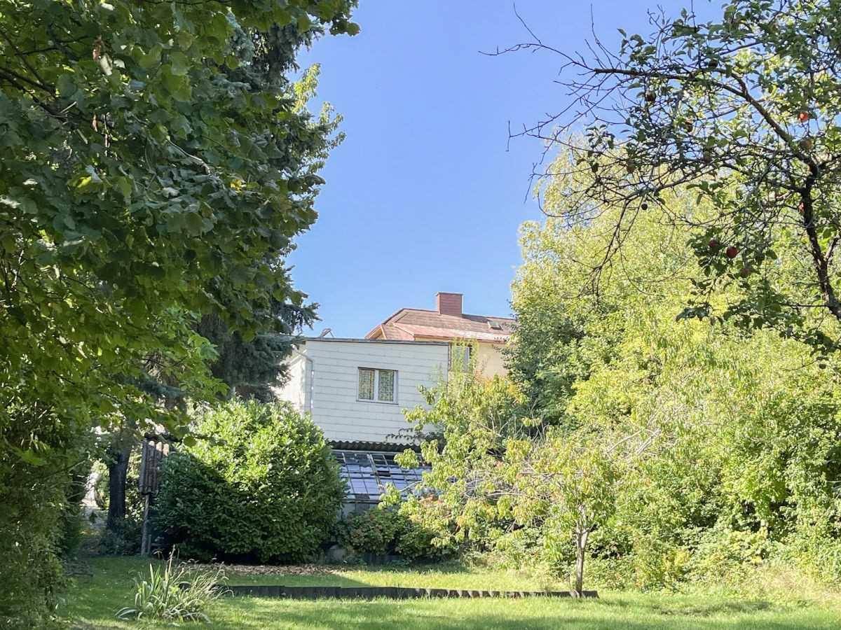 Blick auf das Haus durch die Bäume vom Garten aus, umgeben von viel Grün.