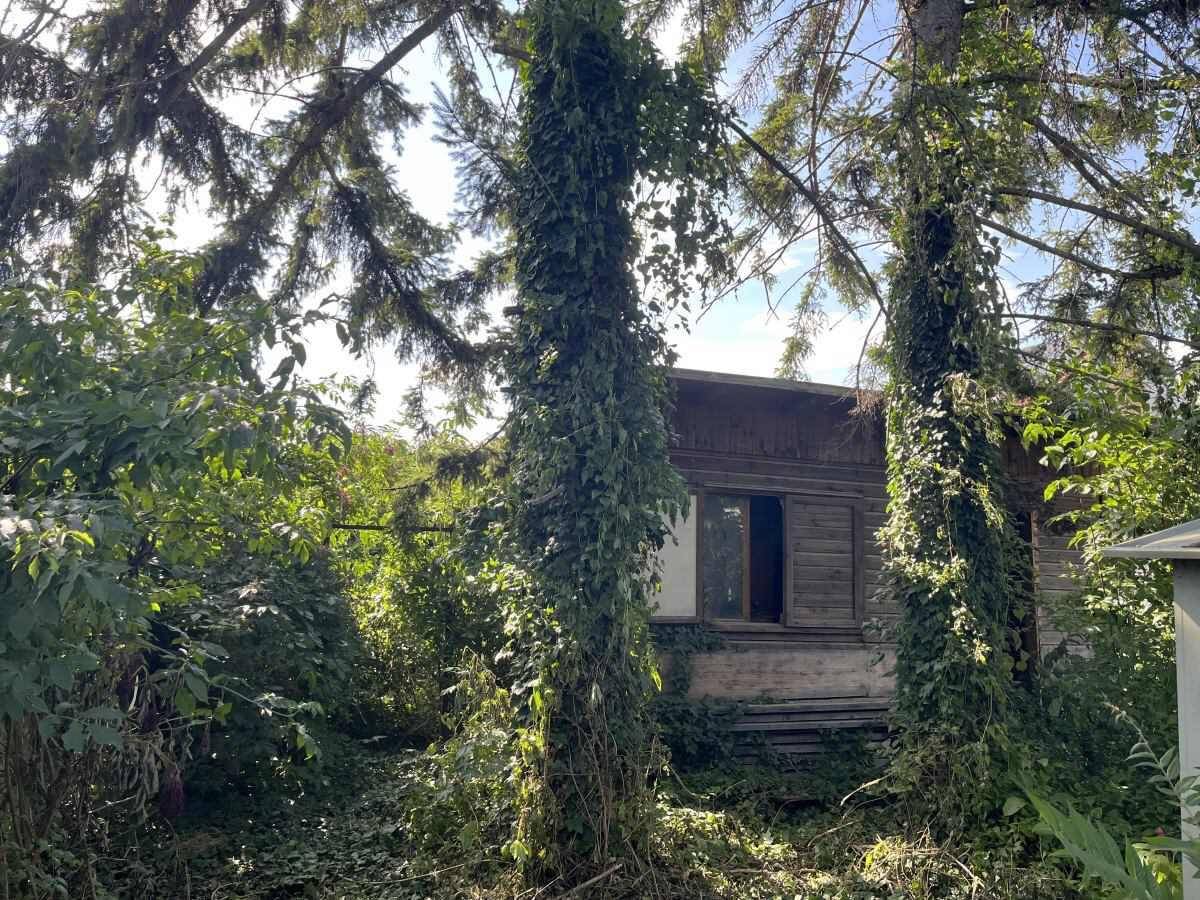 Altes Holzhaus, umgeben von dichtem Grün und hohen Bäumen, mit sichtbaren Verwitterungsspuren.