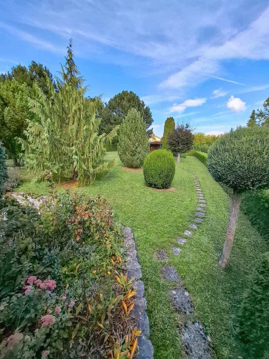 Gepflegter Garten mit Steinpfad, vielfältiger Bepflanzung und hohen Bäumen unter blauem Himmel.