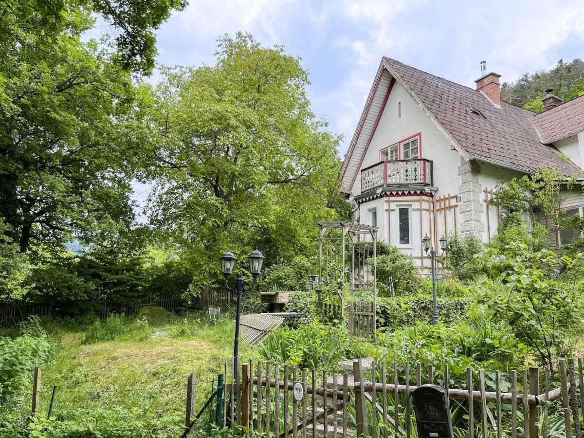 Großer, grüner Garten mit Rasenfläche und Blick auf das charmante Haus.