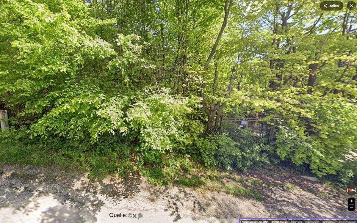 07 Google StreetView