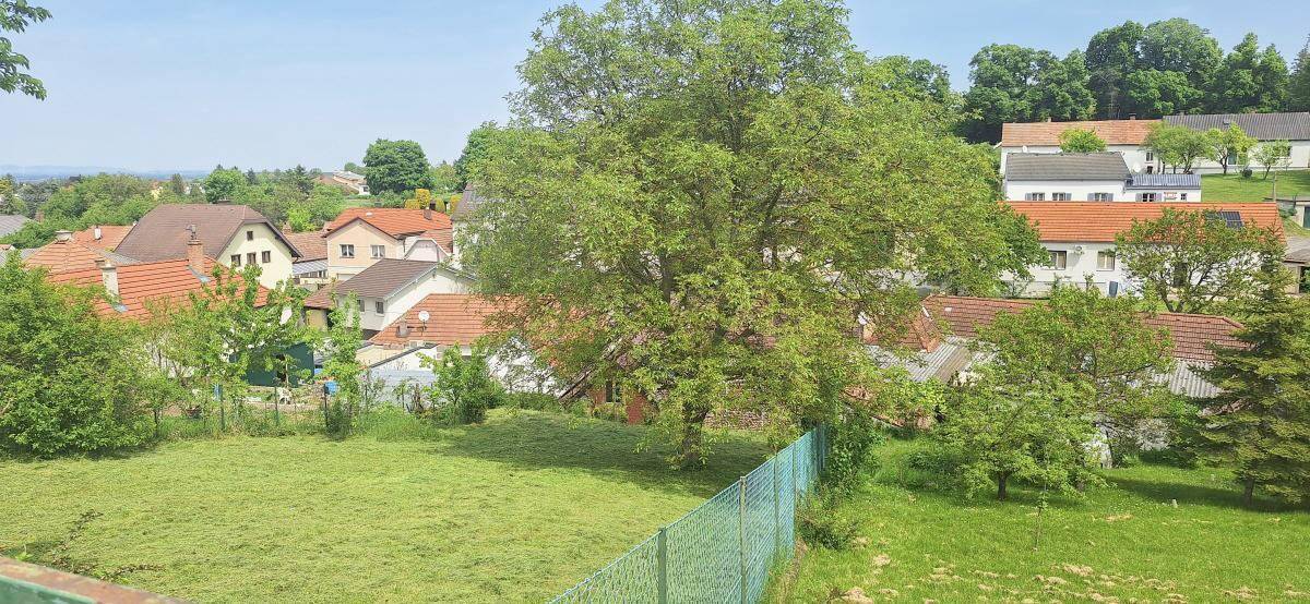 Weitläufige Rasenfläche mit altem Baum und Panoramablick über die Dächer der Nachbarschaft.