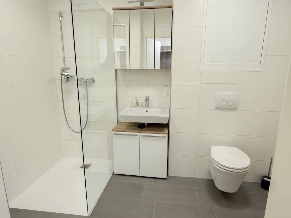 Modernes Badezimmer mit ebenerdiger Dusche, wandhängendem WC und Waschtisch mit Spiegelschrank.