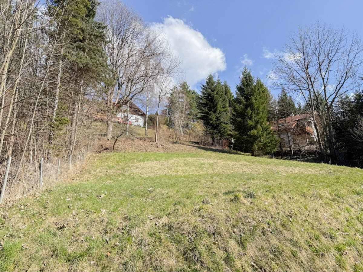 [06724] RESERVIERT - Unser Grundstück im Erholungsgebiet Semmering - Ansicht 4