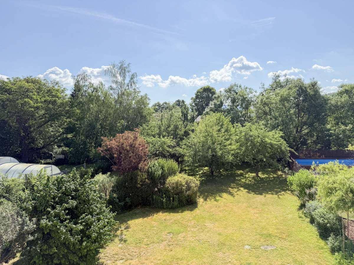 Weitläufiger, grüner Garten mit dichtem Baumbestand und einem überdachten Poolbereich.