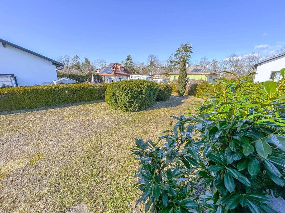 Großer, sonniger Garten mit Rasenfläche und gepflegten Hecken.