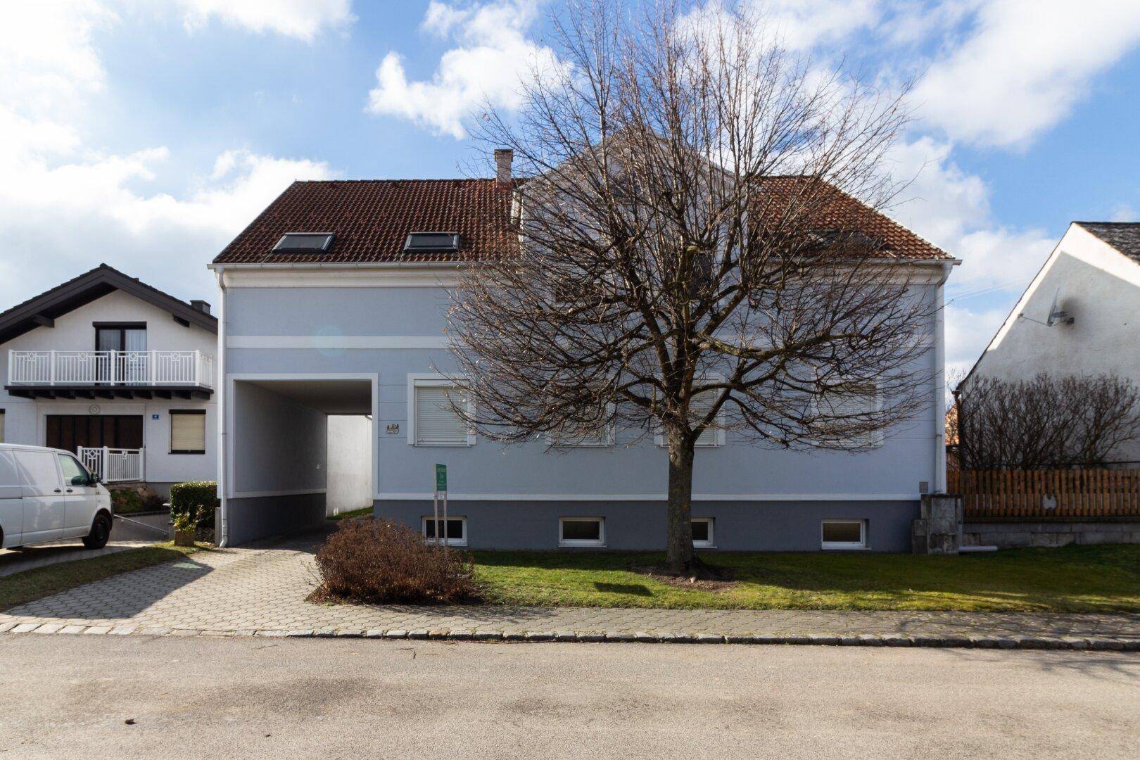 Vorderansicht des Wohnhauses mit Vorgarten, Zufahrt und einem großen kahlen Baum im Frühling.