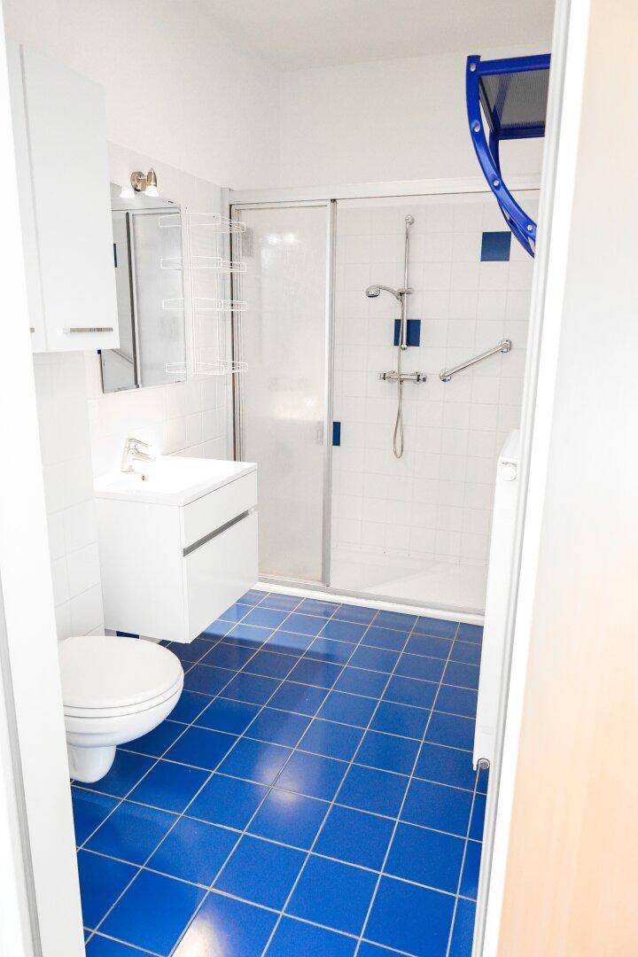 Helles Badezimmer mit WC, Dusche, blauen Bodenfliesen und Haltegriffen.