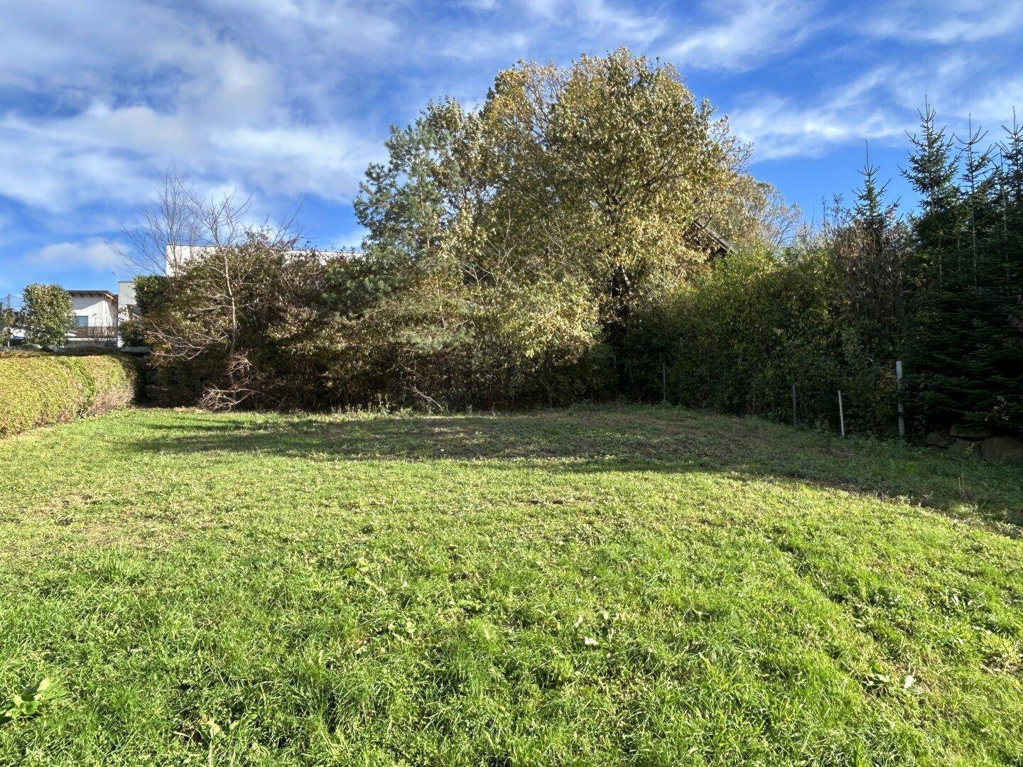 Grüne Rasenfläche mit Bäumen und Sträuchern im Hintergrund unter blauem Himmel.