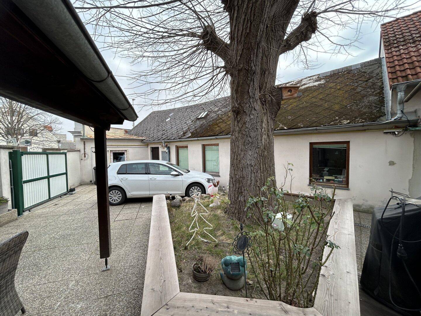 Außenbereich mit großem Baum, geparktem Auto und einem kleinen Gartenbeet.