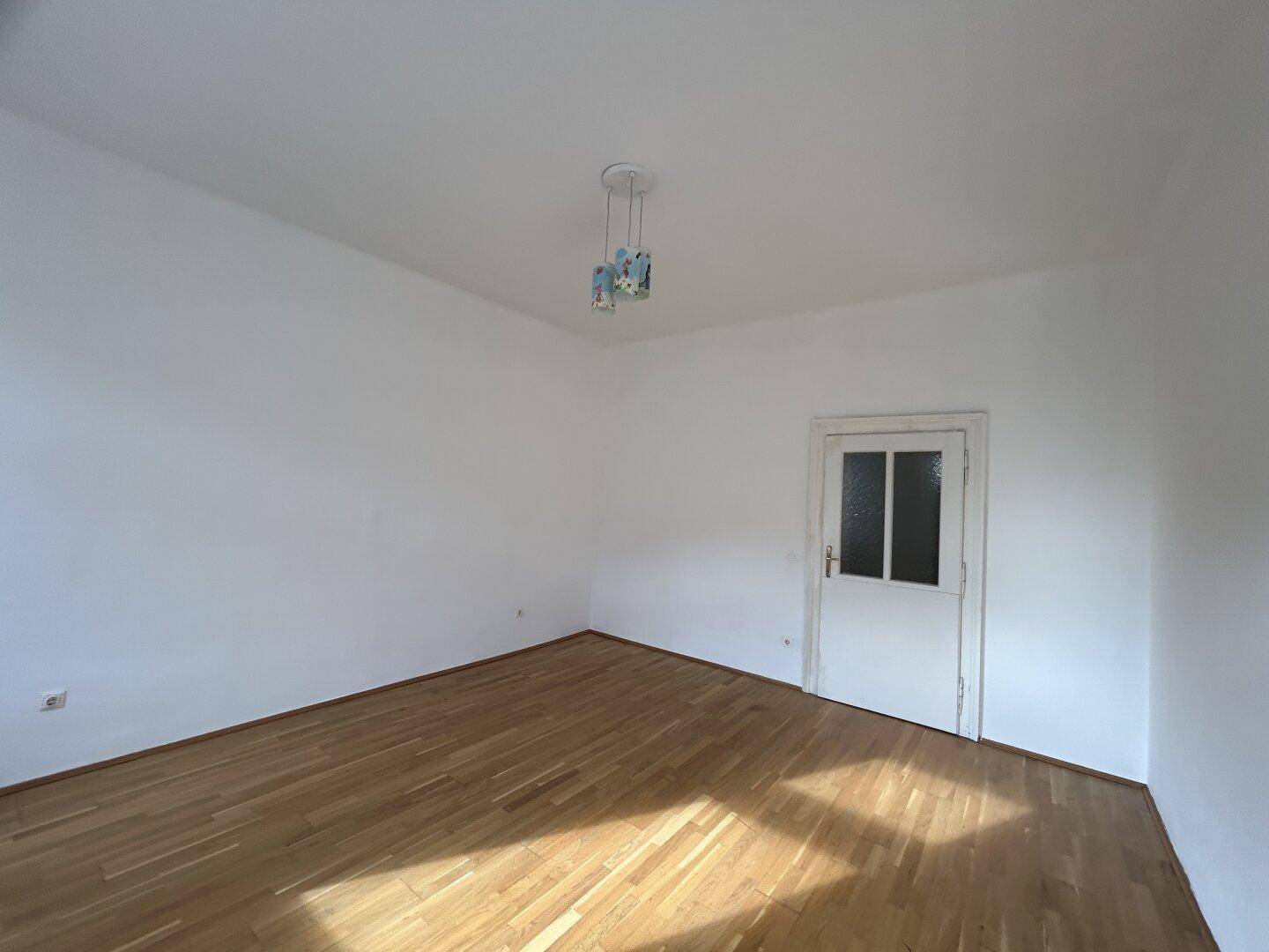 Leerer Raum mit Holzfußboden, einer Tür mit Glaseinsatz und einer Deckenleuchte.