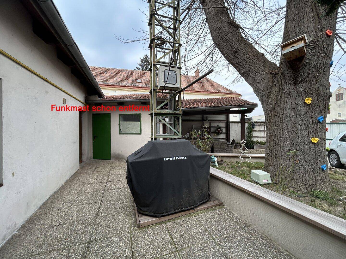 Außenbereich mit gepflastertem Weg, Grill und einem großen Baum im Hintergrund.