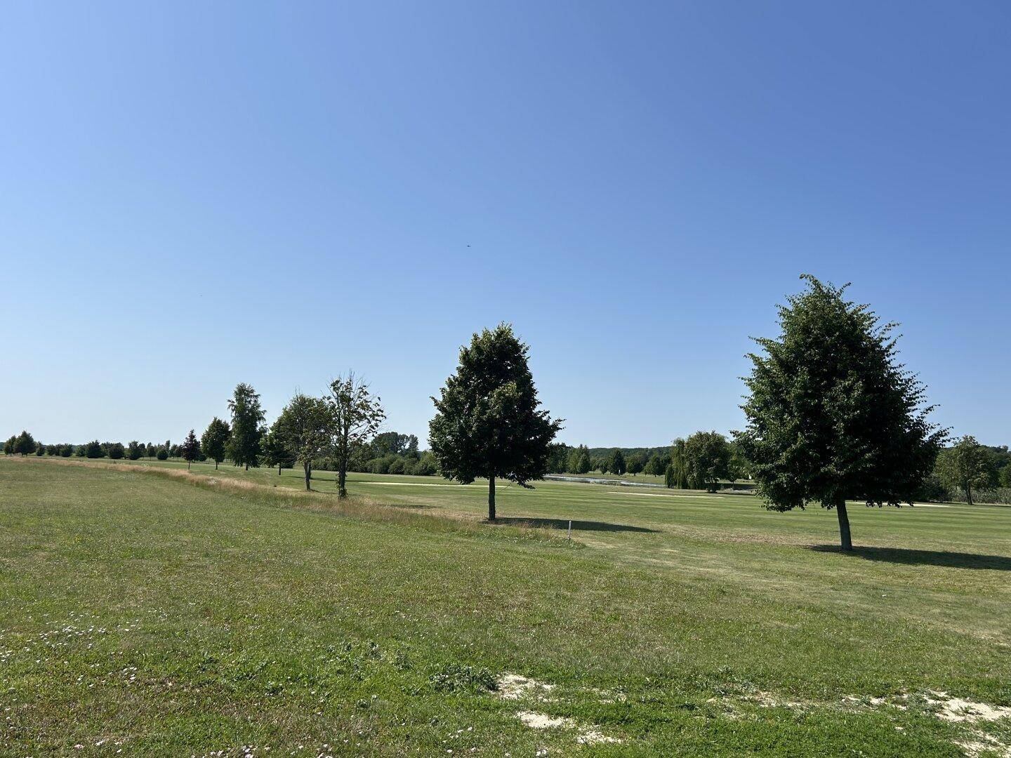 Offene grüne Landschaft mit einzelnen Bäumen und weitem Horizont unter strahlend blauem Himmel.